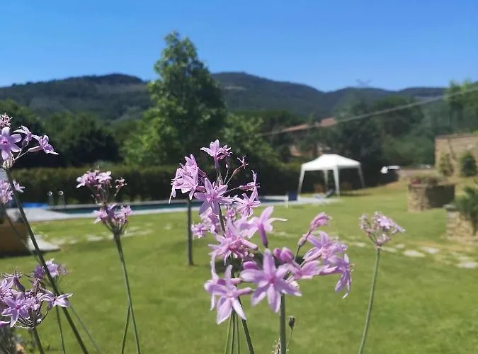 Alba Morus Bed & Breakfast, Sentiti A Casa Nel Cuore Della Toscana